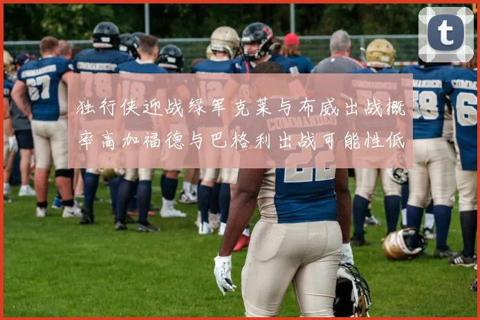 独行侠迎战绿军克莱与布威出战概率高加福德与巴格利出战可能性低