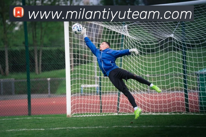 米兰体育APP 封面图